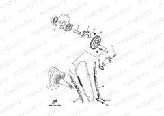 CAMSHAFT & CHAIN