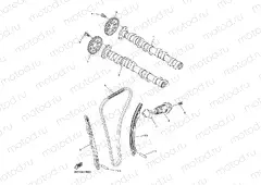 CAMSHAFT & CHAIN