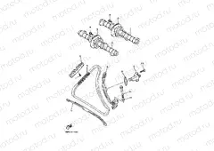 CAMSHAFT & CHAIN