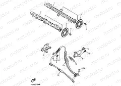 CAMSHAFT & CHAIN