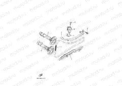 CAMSHAFT & CHAIN