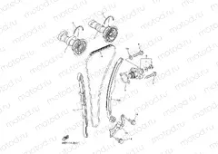 CAMSHAFT & CHAIN
