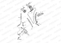 CAMSHAFT & CHAIN