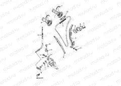CAMSHAFT & CHAIN