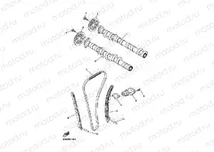 CAMSHAFT & CHAIN