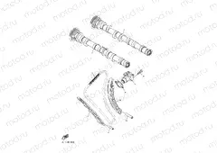 CAMSHAFT & CHAIN