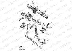 CAMSHAFT & CHAIN