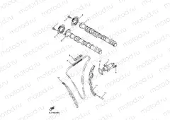 CAMSHAFT & CHAIN