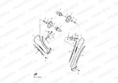 CAMSHAFT & CHAIN
