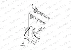 CAMSHAFT & CHAIN