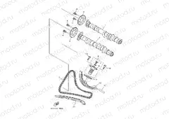 CAMSHAFT & CHAIN