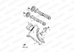 CAMSHAFT & CHAIN