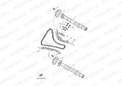 CAMSHAFT & CHAIN