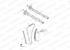 CAMSHAFT & CHAIN
