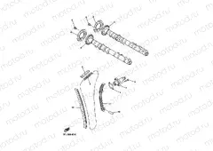 CAMSHAFT & CHAIN