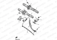 CAMSHAFT & CHAIN