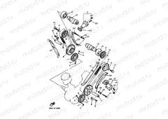 CAMSHAFT & CHAIN