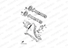 CAMSHAFT & CHAIN
