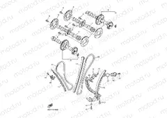 CAMSHAFT & CHAIN