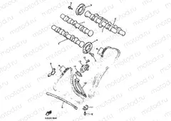 CAMSHAFT & CHAIN
