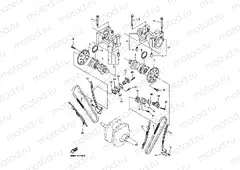 CAMSHAFT & CHAIN