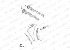 CAMSHAFT & CHAIN
