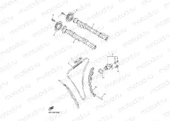 CAMSHAFT & CHAIN