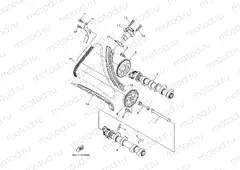 CAMSHAFT & CHAIN