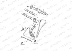 CAMSHAFT & CHAIN