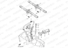 CAMSHAFT & CHAIN