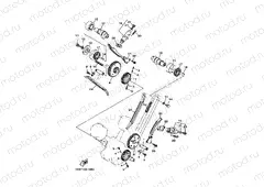 CAMSHAFT & CHAIN