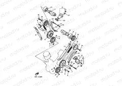 CAMSHAFT & CHAIN