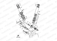 Camshaft. Chiene
