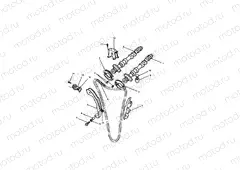 Camshaft & Drive