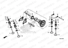 CAMSHAFT / VALVE
