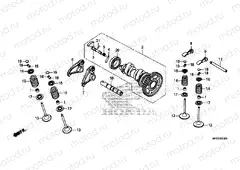 CAMSHAFT / VALVE