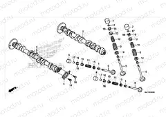 CAMSHAFT / VALVE