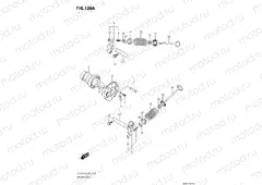 CAMSHAFT / VALVE