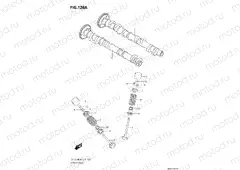 CAMSHAFT / VALVE
