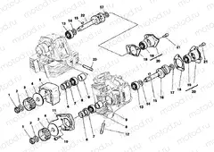 CAMSHAFT » VALVE DRIVE