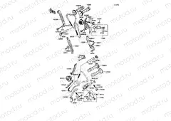 Camshaft/Tensioner