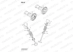 CAMSHAFT/VALVE