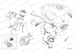 CANISTER FILTER [MOD:SCR11SPR]