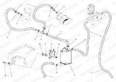 CANISTER FILTER » UNCLASSIFIED