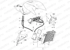 Carbon Canister Assembly