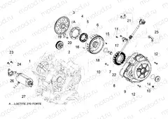 Cdi magneto assy / Ignition unit