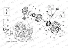 Cdi magneto assy / Ignition unit