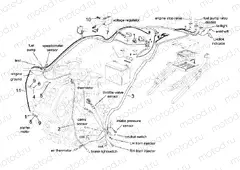 Central electrical system
