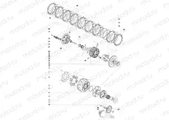 Clutch Assembly