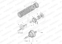 Clutch Assembly